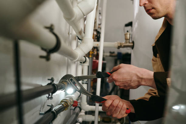 Best Local Plumber Services  in Bradley, IL