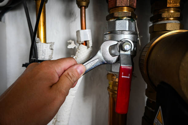 Best Clogged Drain Plumber  in Bradley, IL